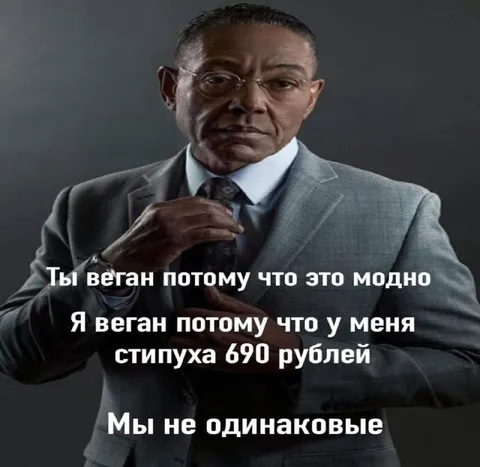 Мы не одинаковые веганы