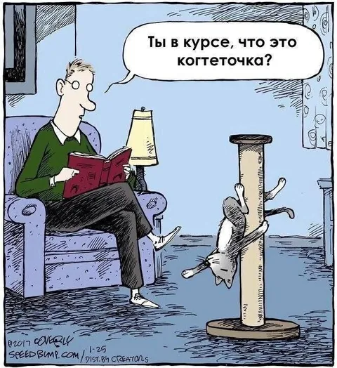 Коттетерочка вверх ногами