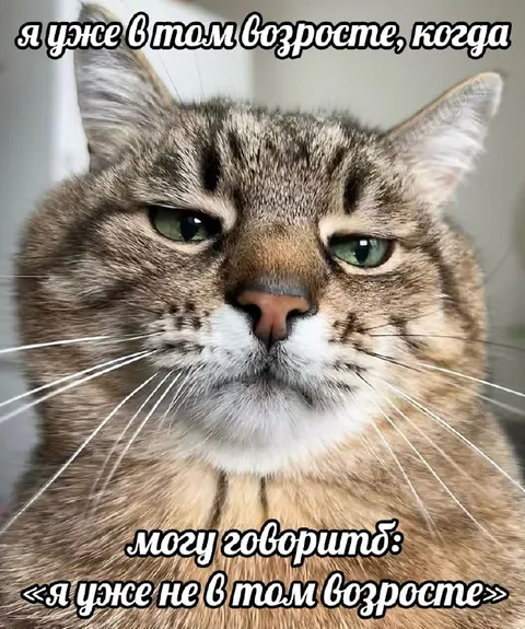 Я уже в том возрасте