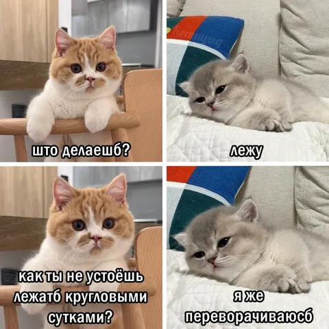 Как ты не устаёшь лежать