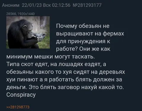 Почему обезьян не заставляют работать