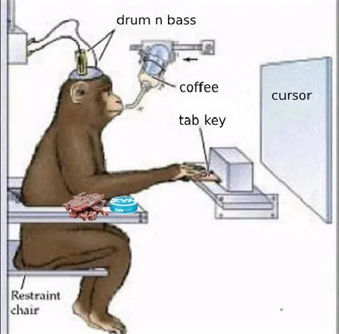Monkey Drum and Bass Setup