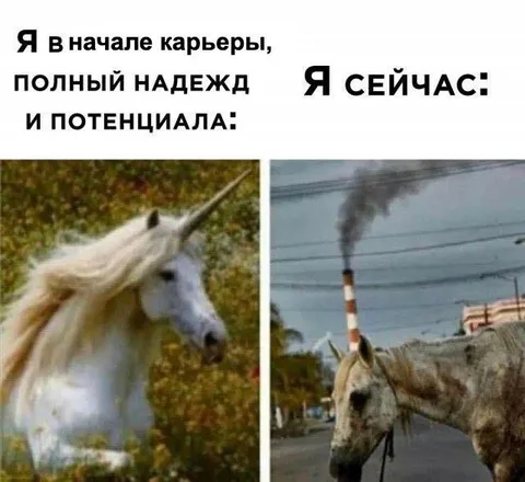 Надежда и реальность карьеры