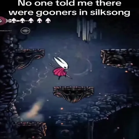 No One Warned Me About Silksong