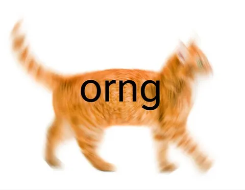 Orng Cat