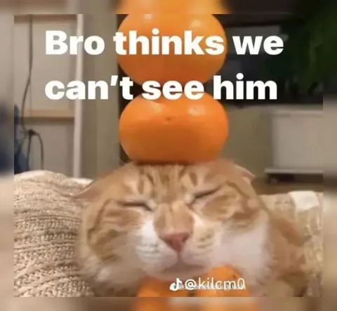 Bro Thinks We Can't See Him