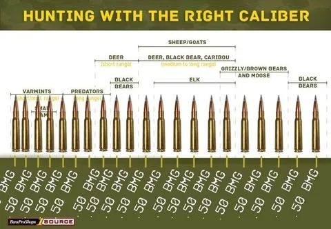 Hunting With the Right Caliber