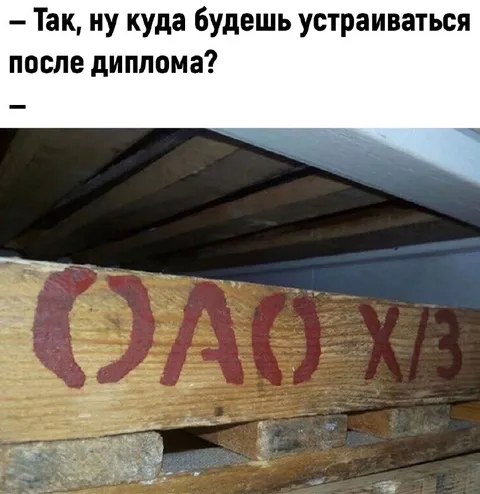 Куда устроишься после диплома