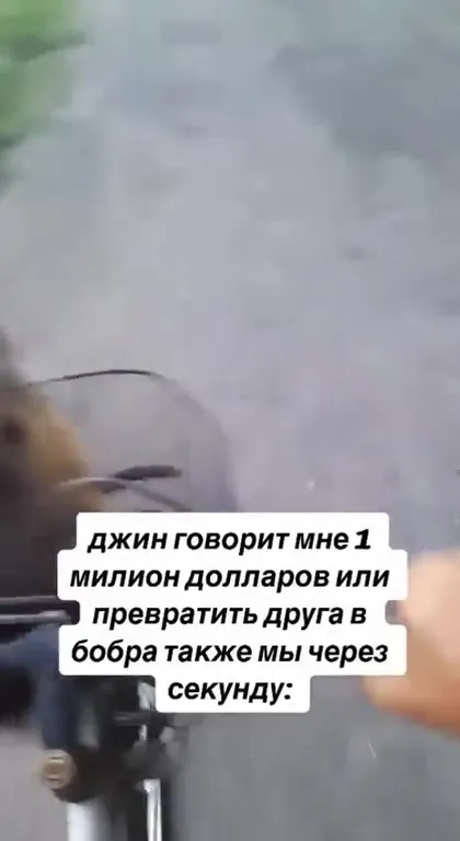 Бобр выбирает превращение