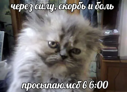 Просыпаемся в 6:00