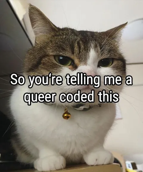 Cat Learns It Was Queer Coded