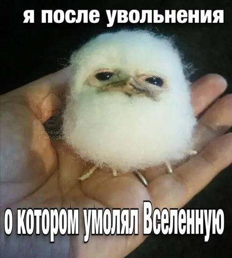 Я после увольнения