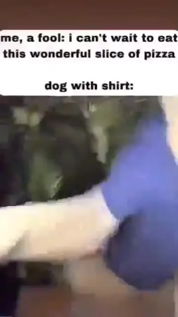 Dog in Shirt Wants Pizza