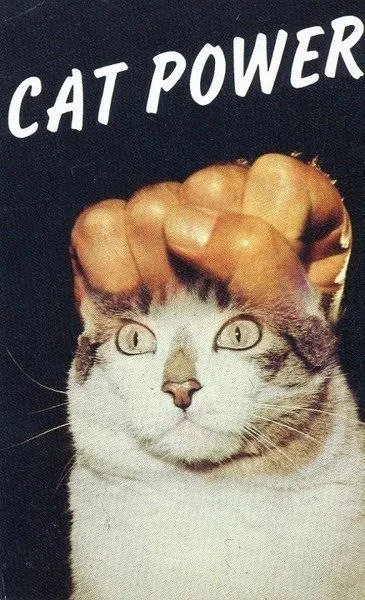Cat Power Bread Crown
