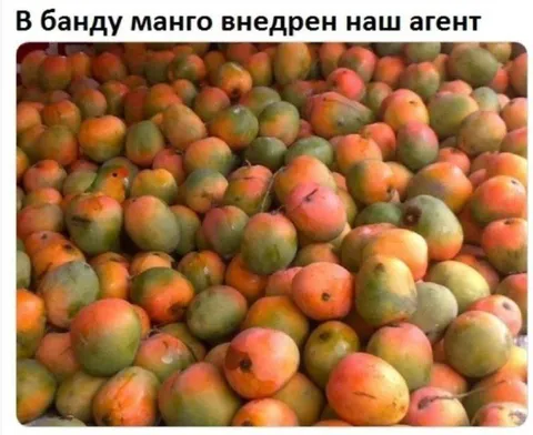 Агент среди манго
