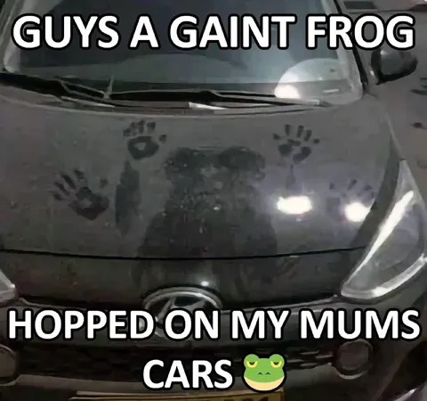 Gaint Frog on Mum's Car