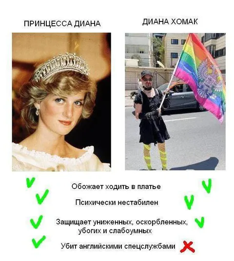 Принцесса Диана против Дианы Хомак