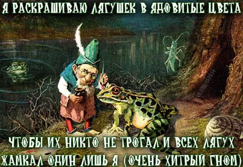 Хитрый гном и ядовитые лягушки