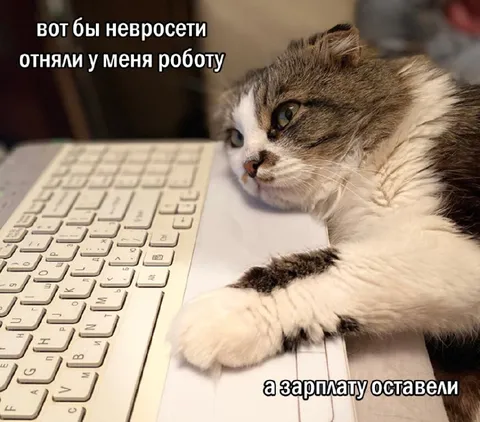 Кот потерял работу из-за нейросетей