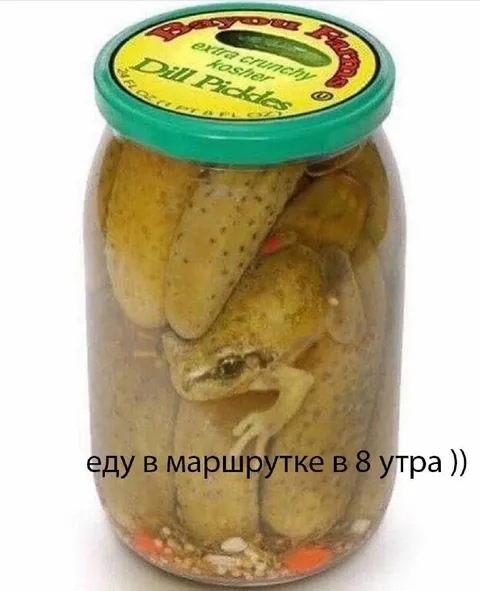 Еду в маршрутке в 8 утра