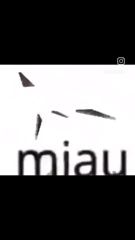 El gato se desintegra al maullar
