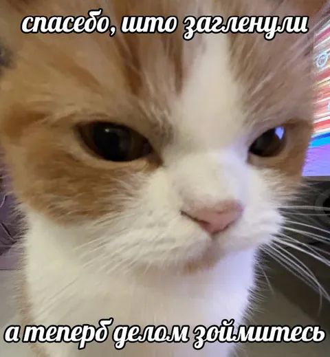 Спасибо, что заглянули