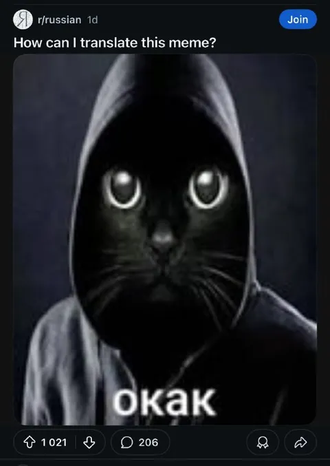 Кот в капюшоне окак