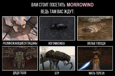Вас ждут в Morrowind