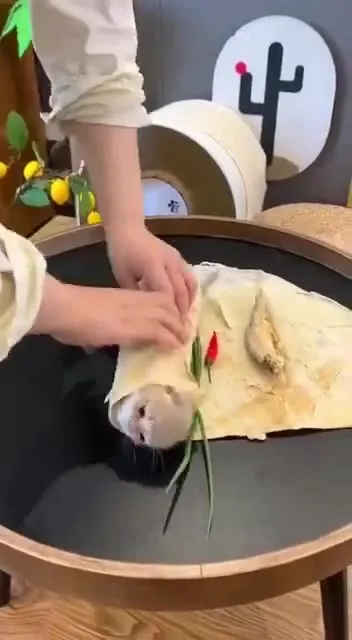 Котёнок в огромном блинчике