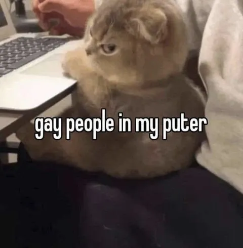 Gay People in My Puter