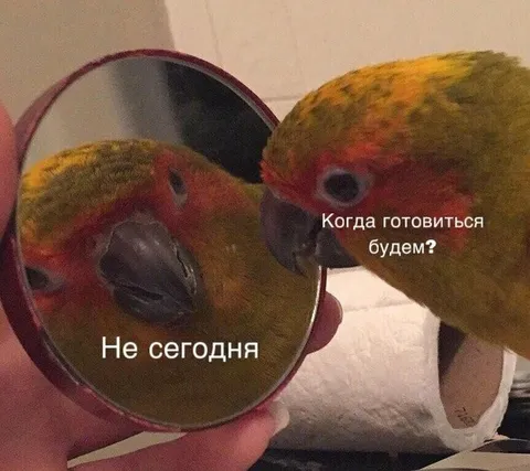 Не сегодня готовиться