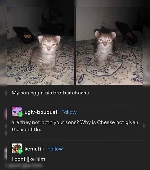 My Son Egg and Brother Cheese