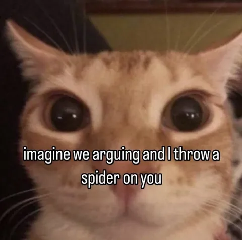 Throwing a Spider During an Argument