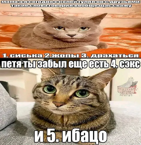 Кот перечисляет запрещённые слова