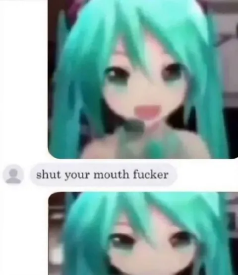 Shut Your Mouth Fucker Miku