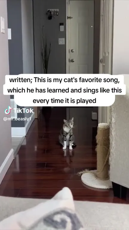 Cat Sings His Favorite Song