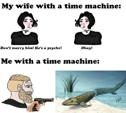 My Wife With a Time Machine