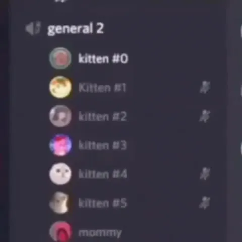 Discord Kittens Voice Channel