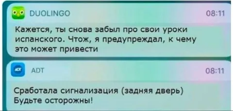 Duolingo вызвал сигнализацию