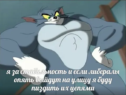 Том за стабильность