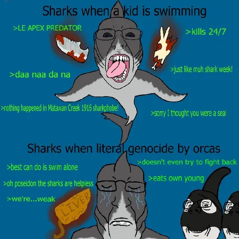 Sharks Versus Orcas