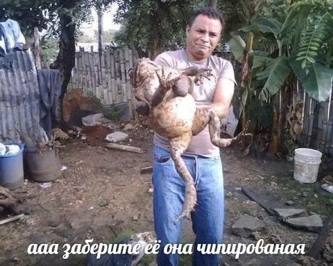 Заберите её, она чипированая