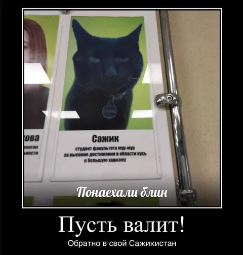 Сажик возвращается в Сажикистан