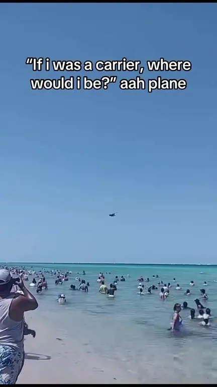 Aah Plane Over the Swimmers