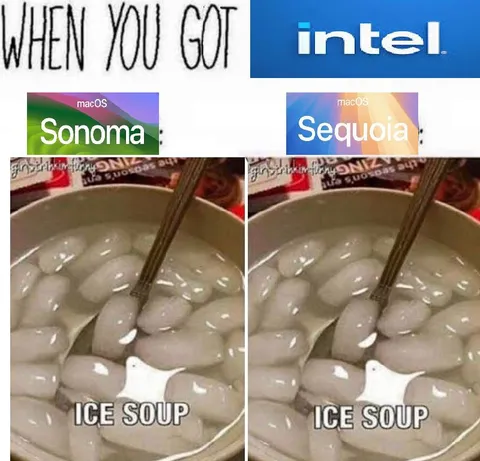 When You Got Intel Ice Soup