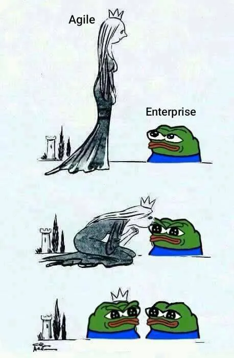 Agile Meets Enterprise