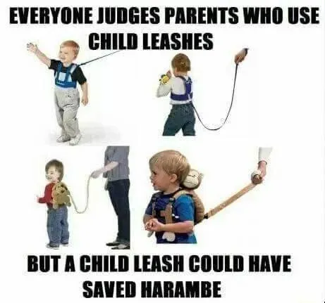 Child Leash Could Have Saved Harambe
