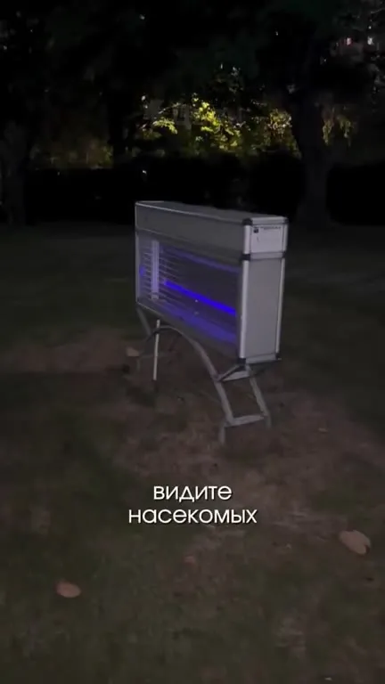 Лягушья охота на мух