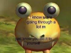 I Know You Did It Yourself
