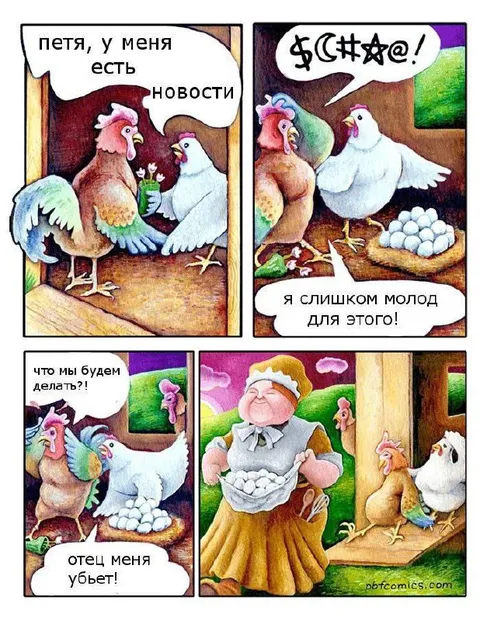 Курица принесла плохие новости